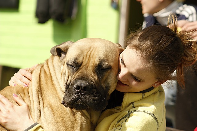 Hunde sind die besten Freunde des Menschen