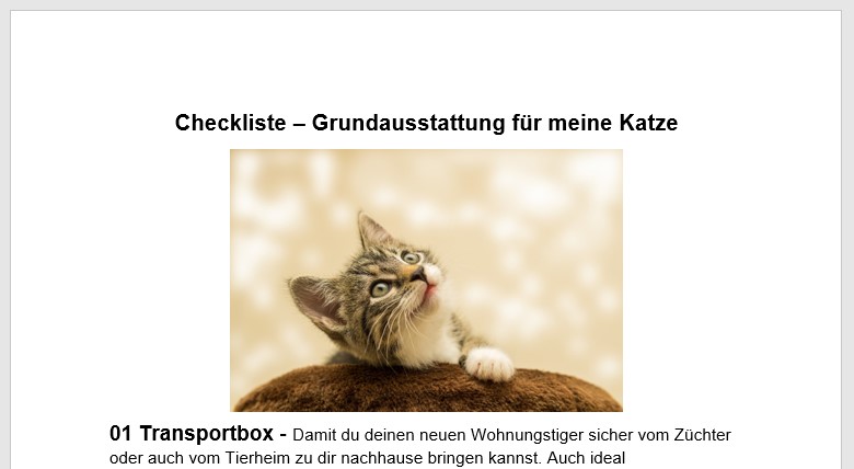 Checkliste - Die Grundausstattung für meine Katze