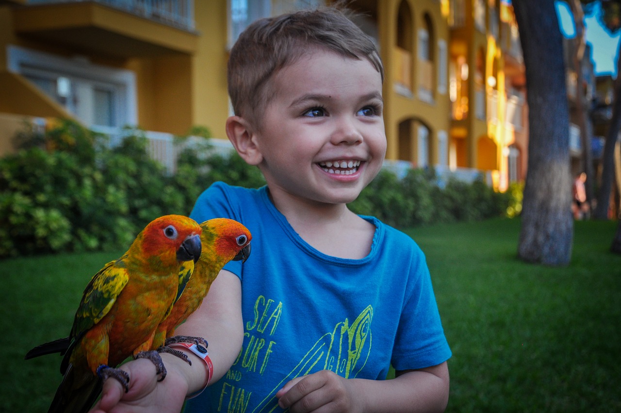 Vögel sind nicht nur für Erwachsene. Auch kleinere Kinder können schon den richtigen Umgang mit ihren gefiederten Freunden lernen.