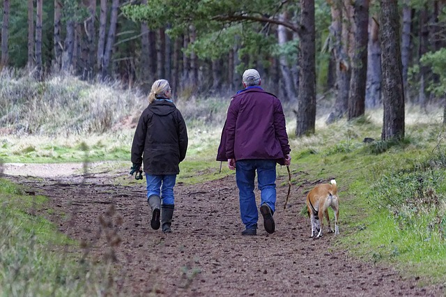 Der Hund - die Vor- und Nachteile: Hunde motivieren zu Bewegung im Freien