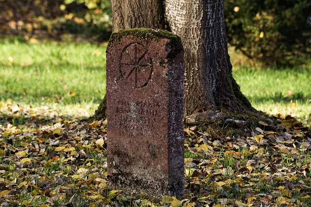 Begräbnis-Rituale erleichtern Kindern den Abschied von einem geliebten Haustier